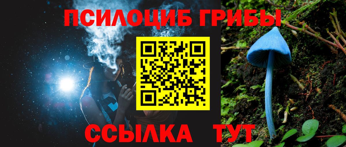 Рязань  Псилоцибиновые грибы ЛСД  Вход с VPN 